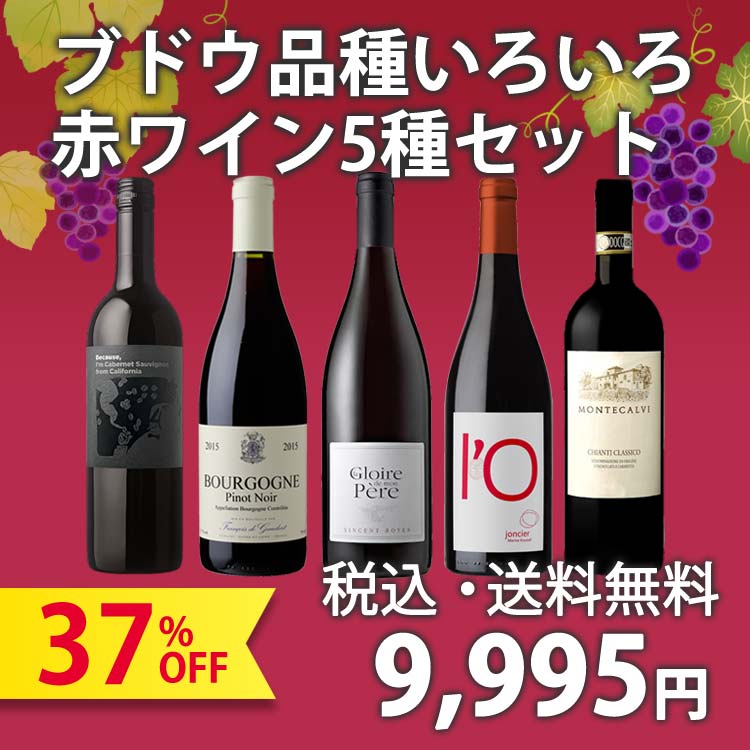 【終了】ゴールデンウィークはワイン飲み比べを楽しもう！！ ブドウ品種いろいろ赤ワイン5種セット(赤ワイン750ml×5本入り)