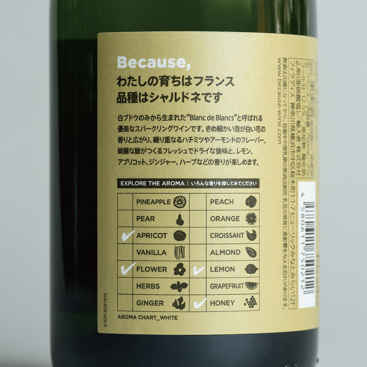『ビコーズ』オリジナルワインクーラー＆スパークリングワインセット(750ml×1本)
