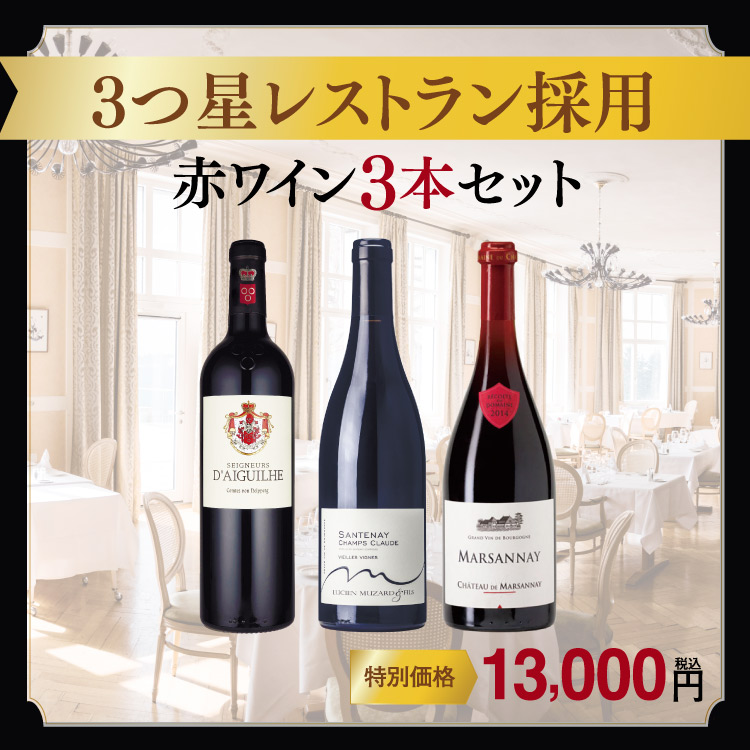【星付きレストランの味わいをご家庭で】3つ星レストランに実際に採用されている赤ワイン3本セット(赤750ml×3本)