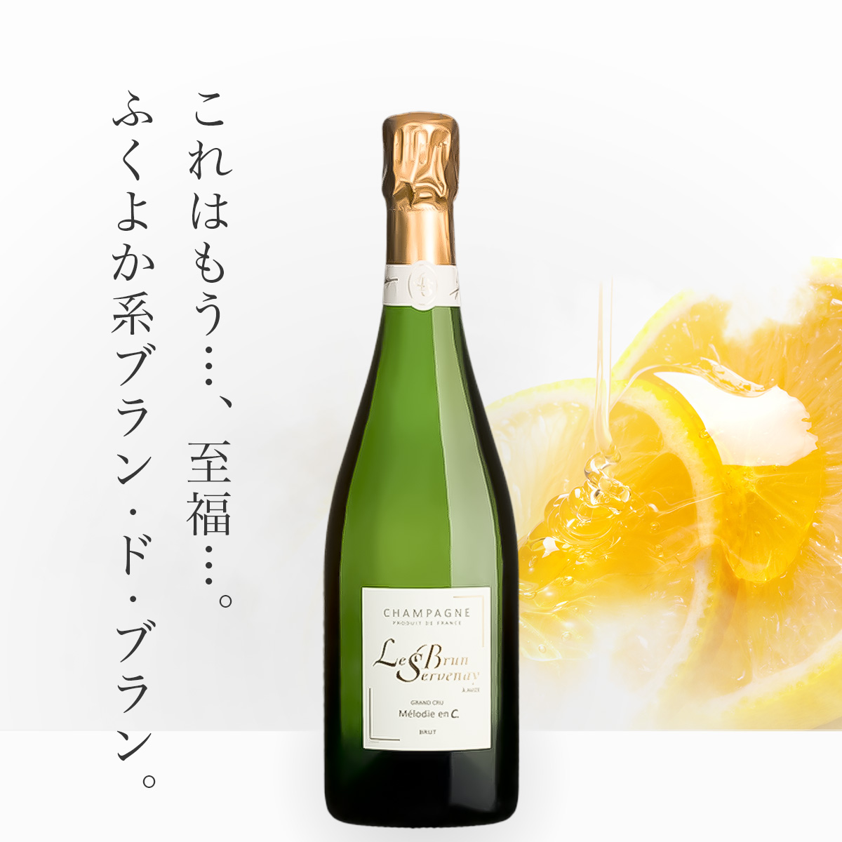 ブリュン・セルヴネイ メロディ・アン・セー ブラン・ド・ブラン  N.V.(仏シャンパーニュ750ml)