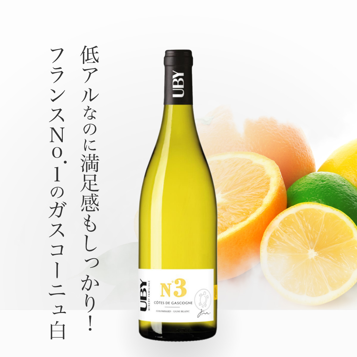 ユービー ナンバー・スリー(仏南西地方産白ワイン750ml)