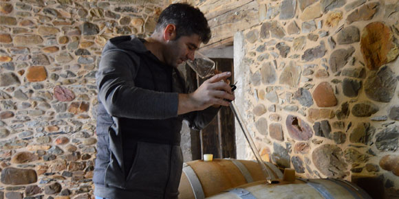セサール・マルケス / パラヘス・デル・ビエルソ・ティント(スペイン ビエルソ産赤ワイン750ml)