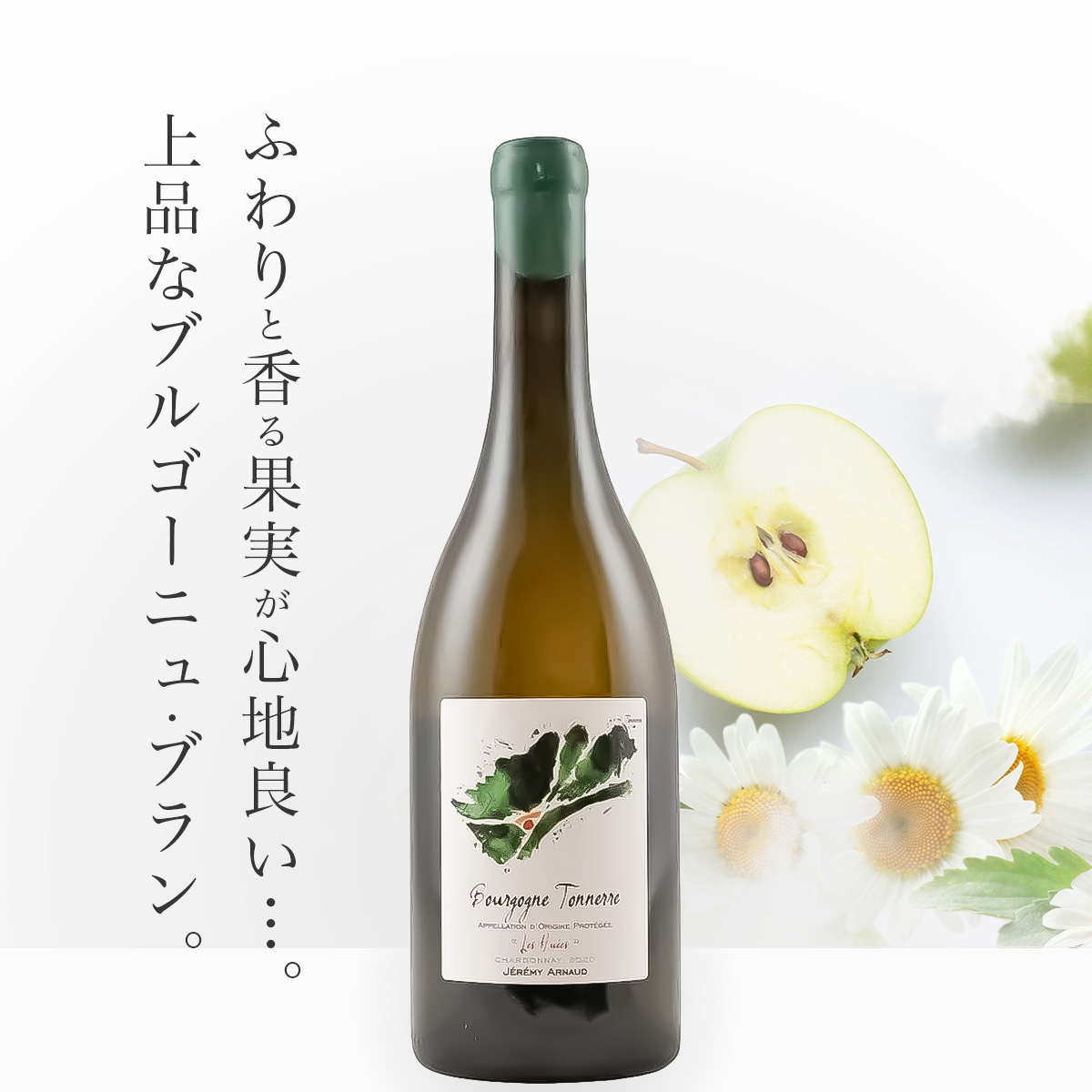 ドメーヌ・ジェレミー・アルノー / ブルゴーニュ・ブラン・トネル・レ・ヒュエ(仏ブルゴーニュ産白750ml)