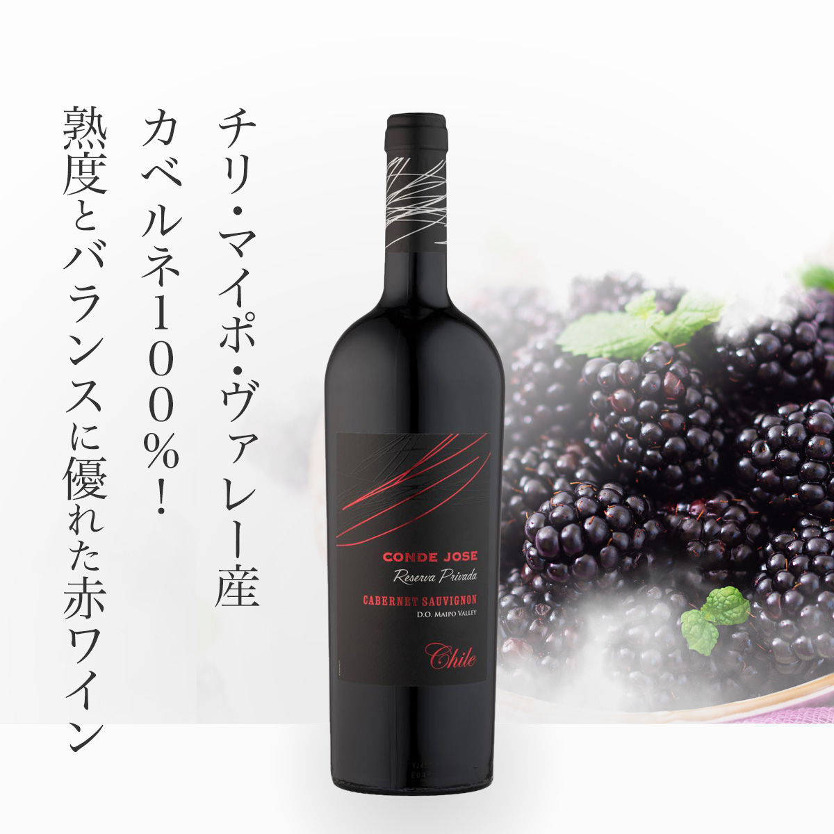 コンド・ホセ　カベルネ・ソーヴィニヨン　リゼルヴァ・プリヴァーダ(チリ産赤ワイン750ml)