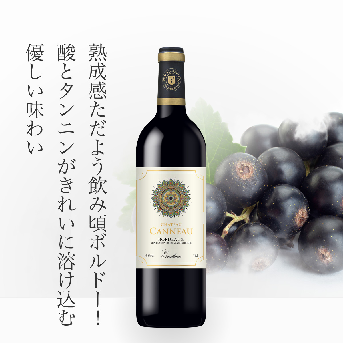シャトー・カヌー 2020年 (仏ボルドー産赤750ml)