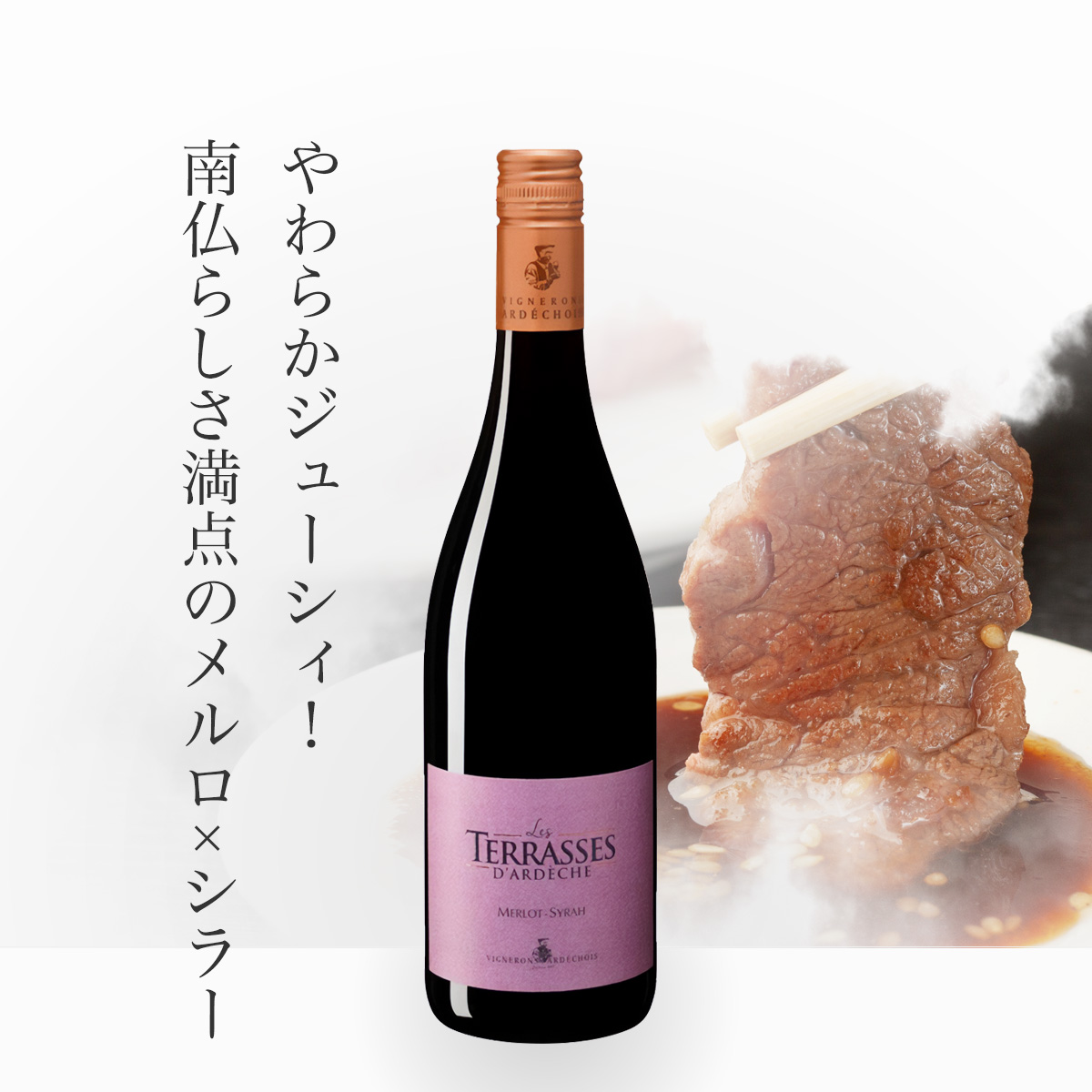 ヴィニュロン・アルデショワ テラス・ダルディッシュ・シラー・メルロ(仏ローヌ産赤ワイン750ml)