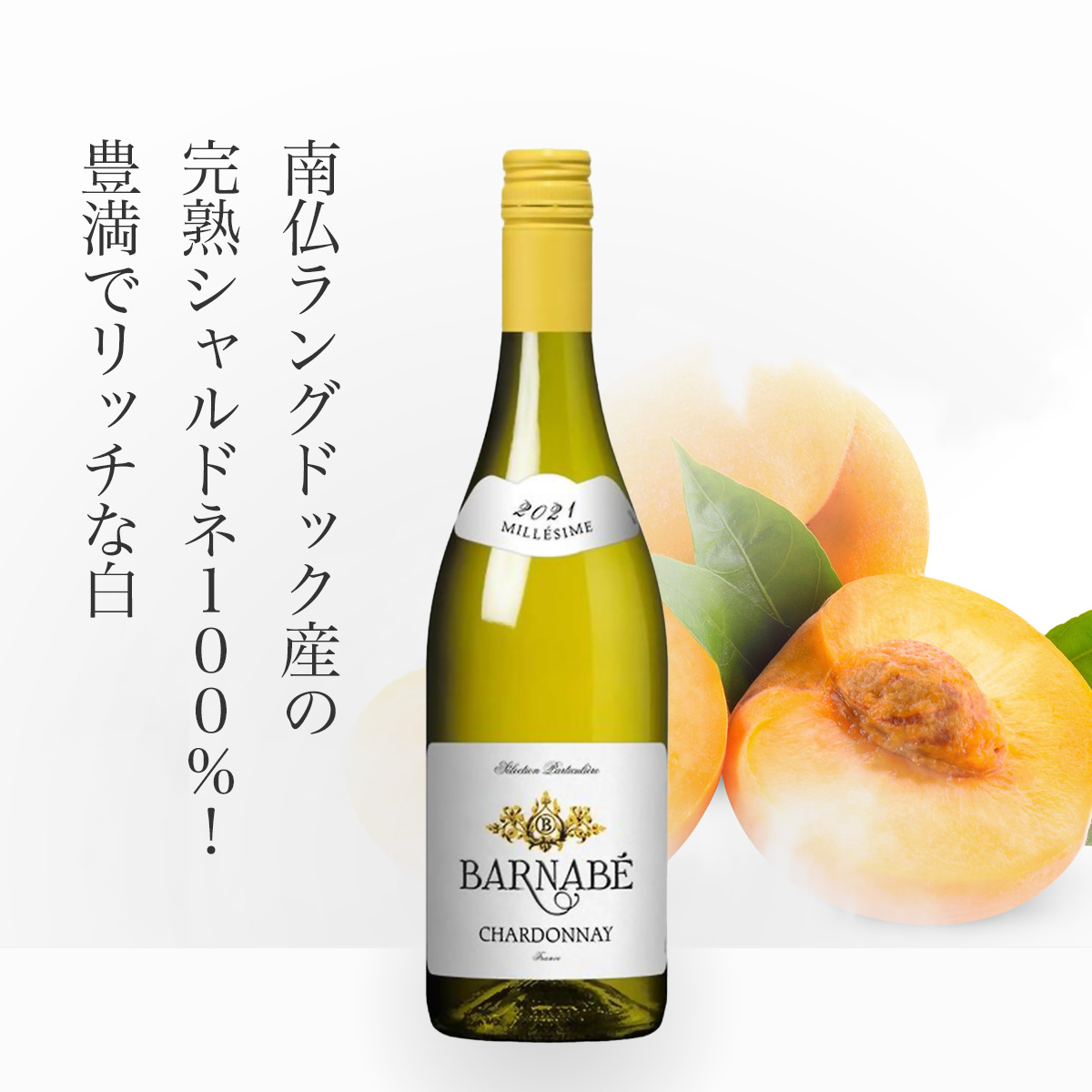 バルナベ・シャルドネ(仏ラングドック産白750ml)