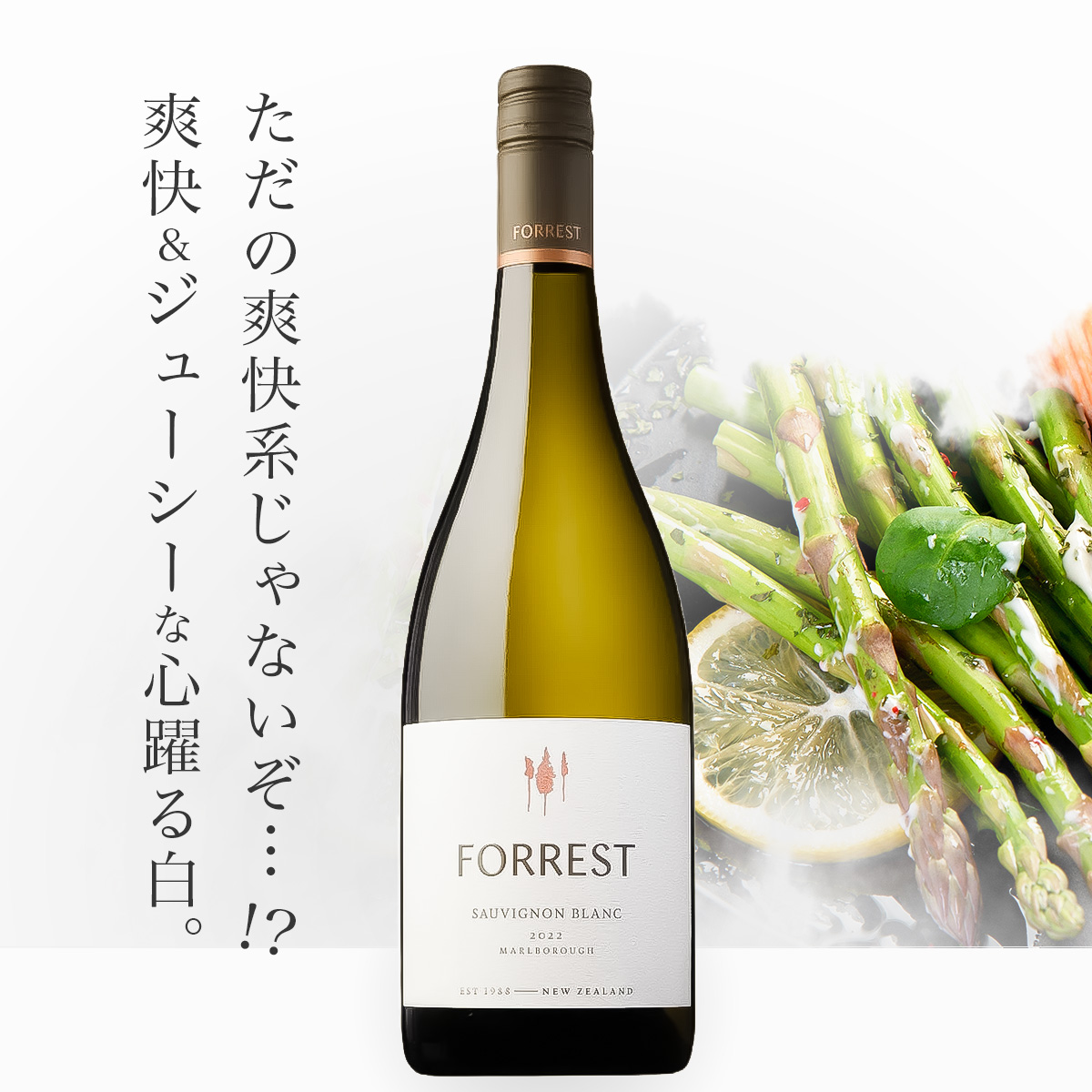 フォレストワインズ　フォレスト・ソーヴィニョン・ブラン(ニュージーランド産白ワイン750ml)
