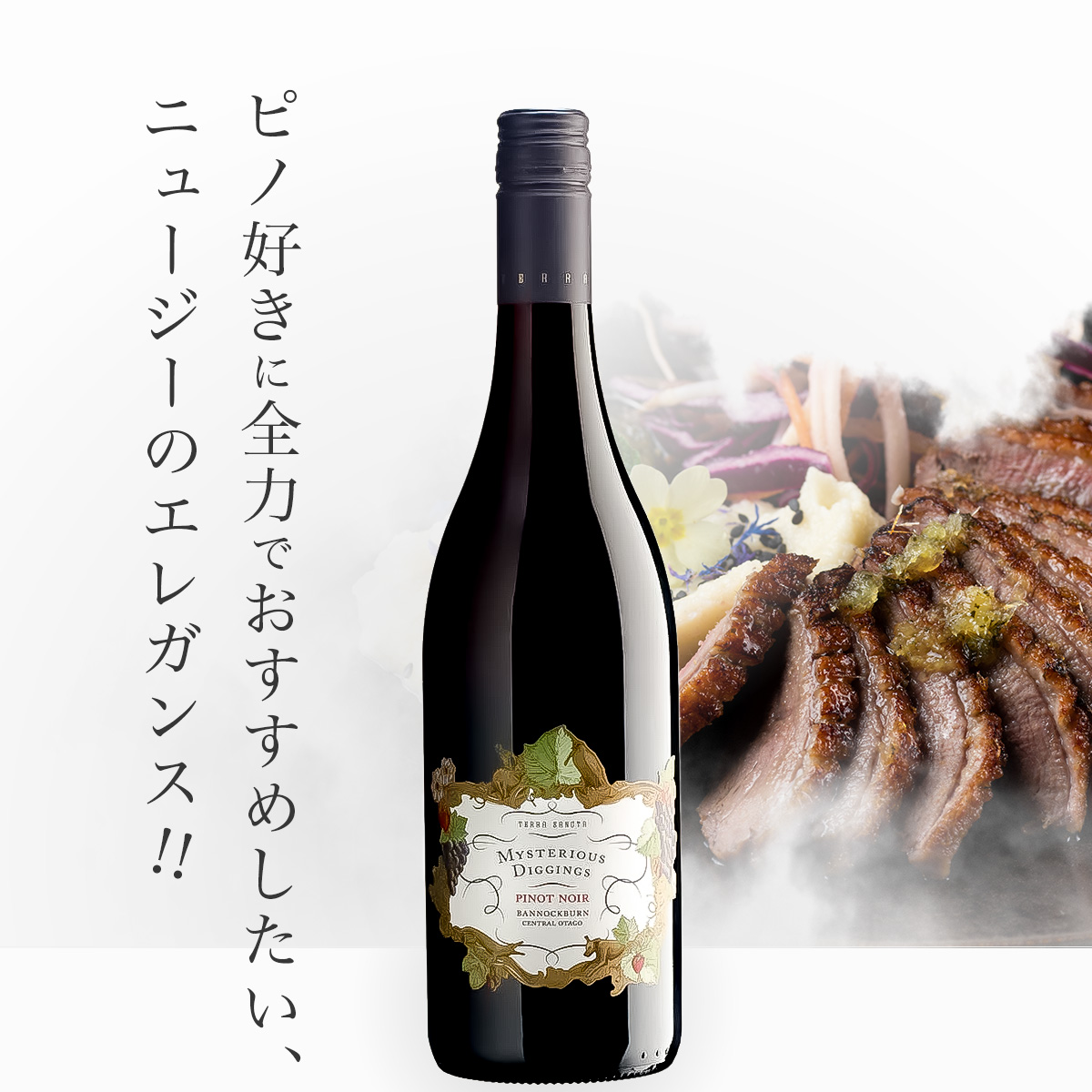 テラ・サンクタ　ミステリアス・ディギングス・ピノ・ノワール(ニュージーランド産赤ワイン750ml)
