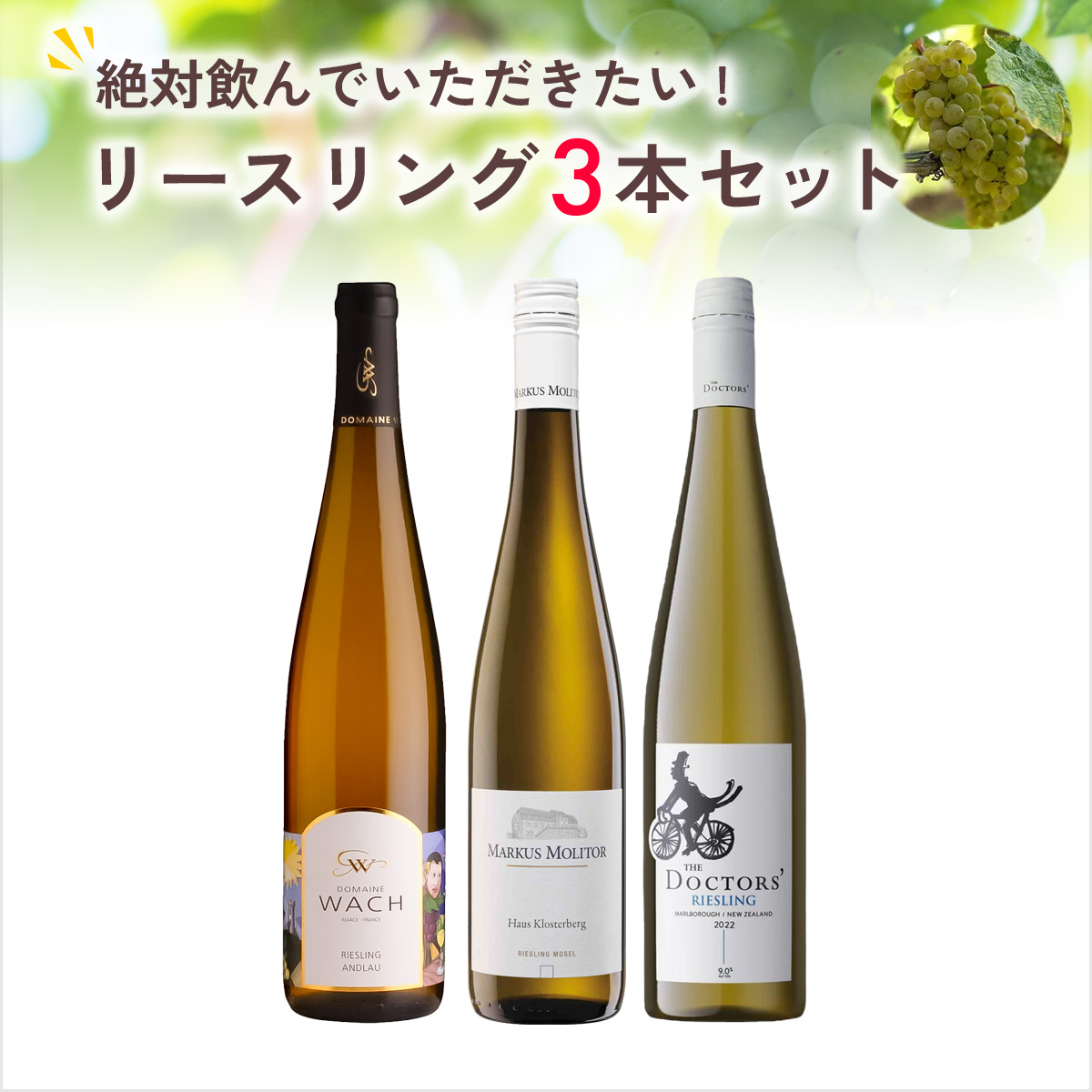 ★値上げ前 ポイント10倍還元★絶対に飲んでいただきたい各地のリースリング3本セット