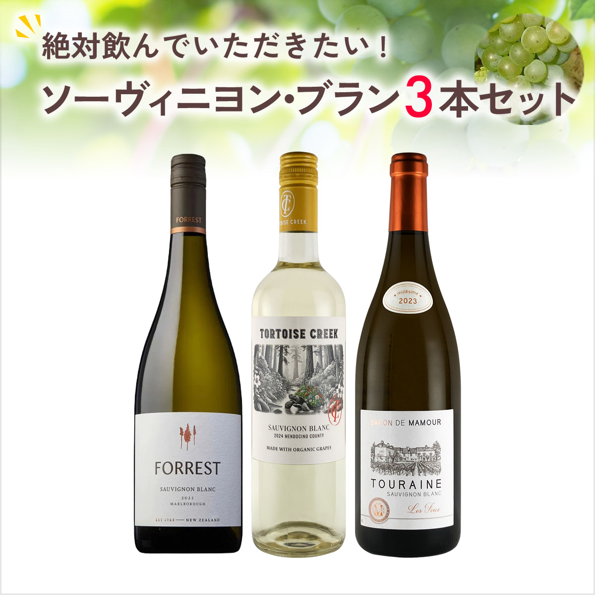 ★値上げ前 ポイント10倍還元★絶対に飲んでいただきたいソーヴィニヨン・ブラン3本セット