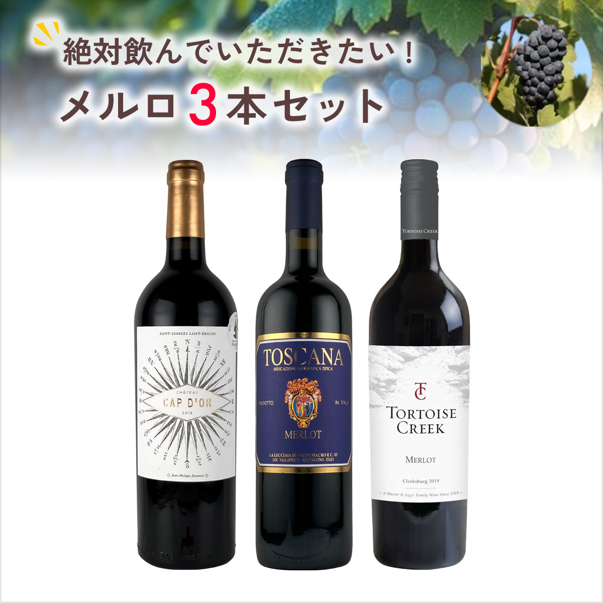 ★値上げ前 ポイント10倍還元★絶対に飲んでいただきたいメルロ3本セット