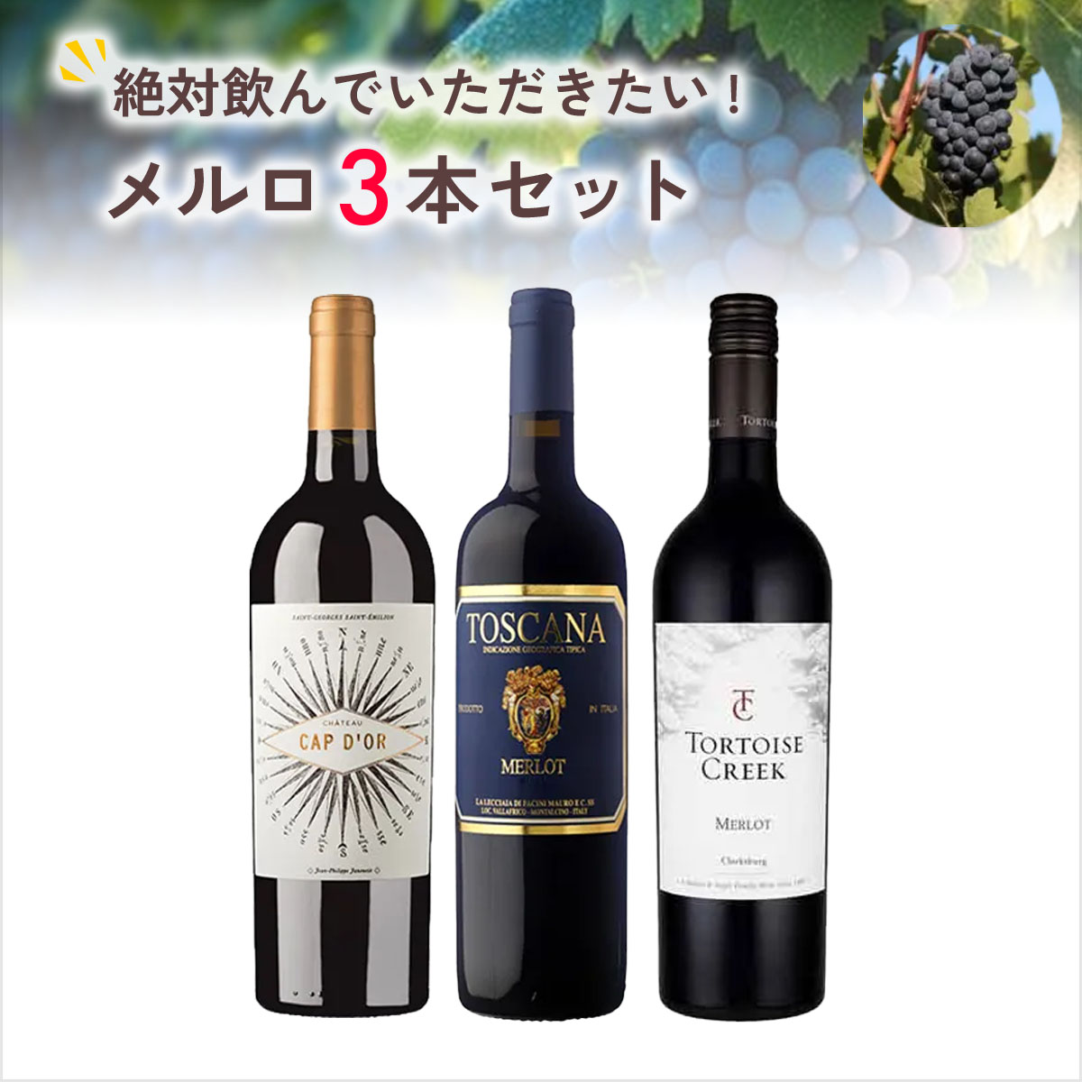 絶対に飲んでいただきたいメルロ3本セット