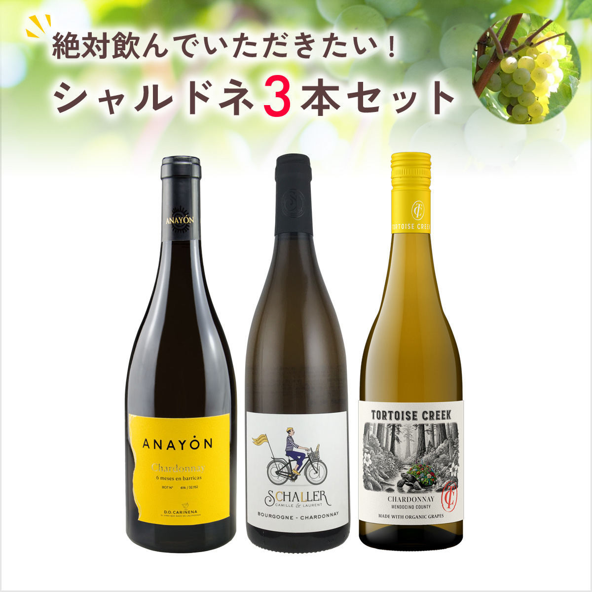 ★値上げ前 ポイント10倍還元★絶対に飲んでいただきたい各地のシャルドネ3本セット
