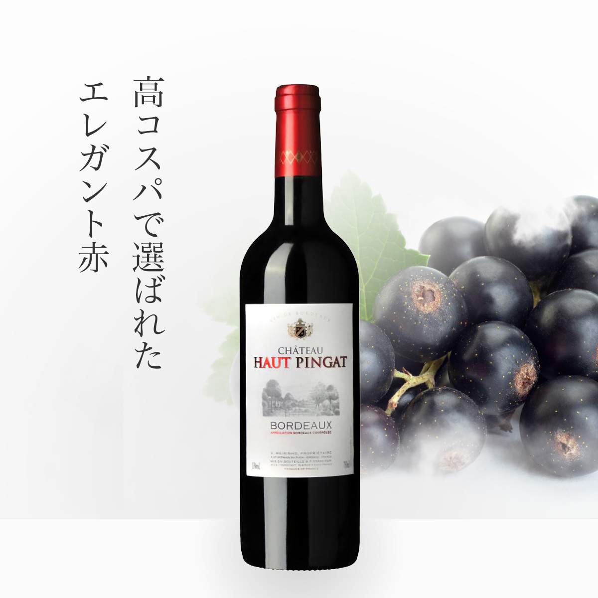 シャトー オー・ピンガ ボルドー (仏ボルドー産赤750ml)