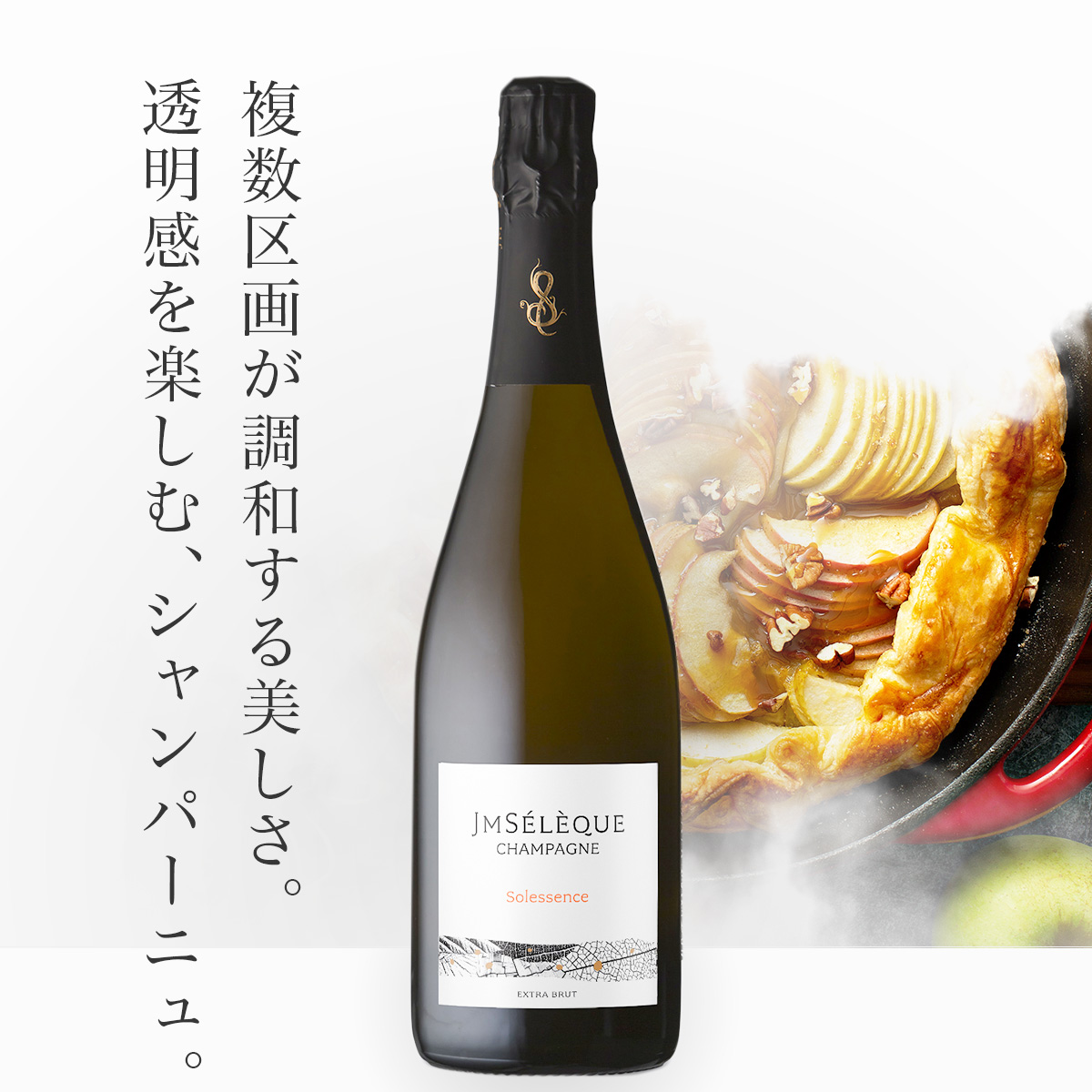 ★4月はフランスワインセール実施中★ジャン・マルク・セレック ソレサンス N.V.(仏シャンパーニュ750ml)