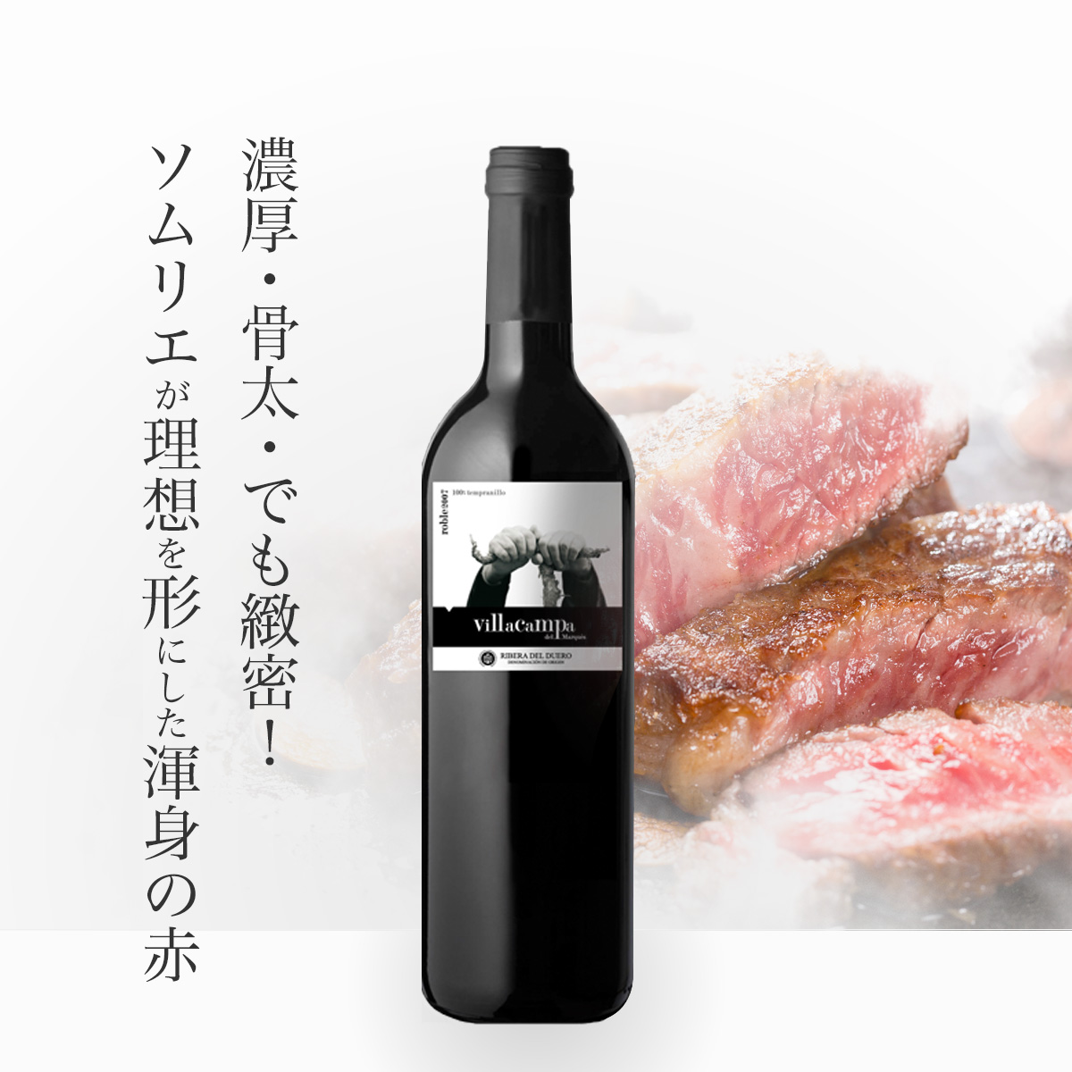 セパス・イ・ボデガス ヴィリャカンパ・デル・マルケス(スペイン リベラ・デル・デュエロ産赤750ml)