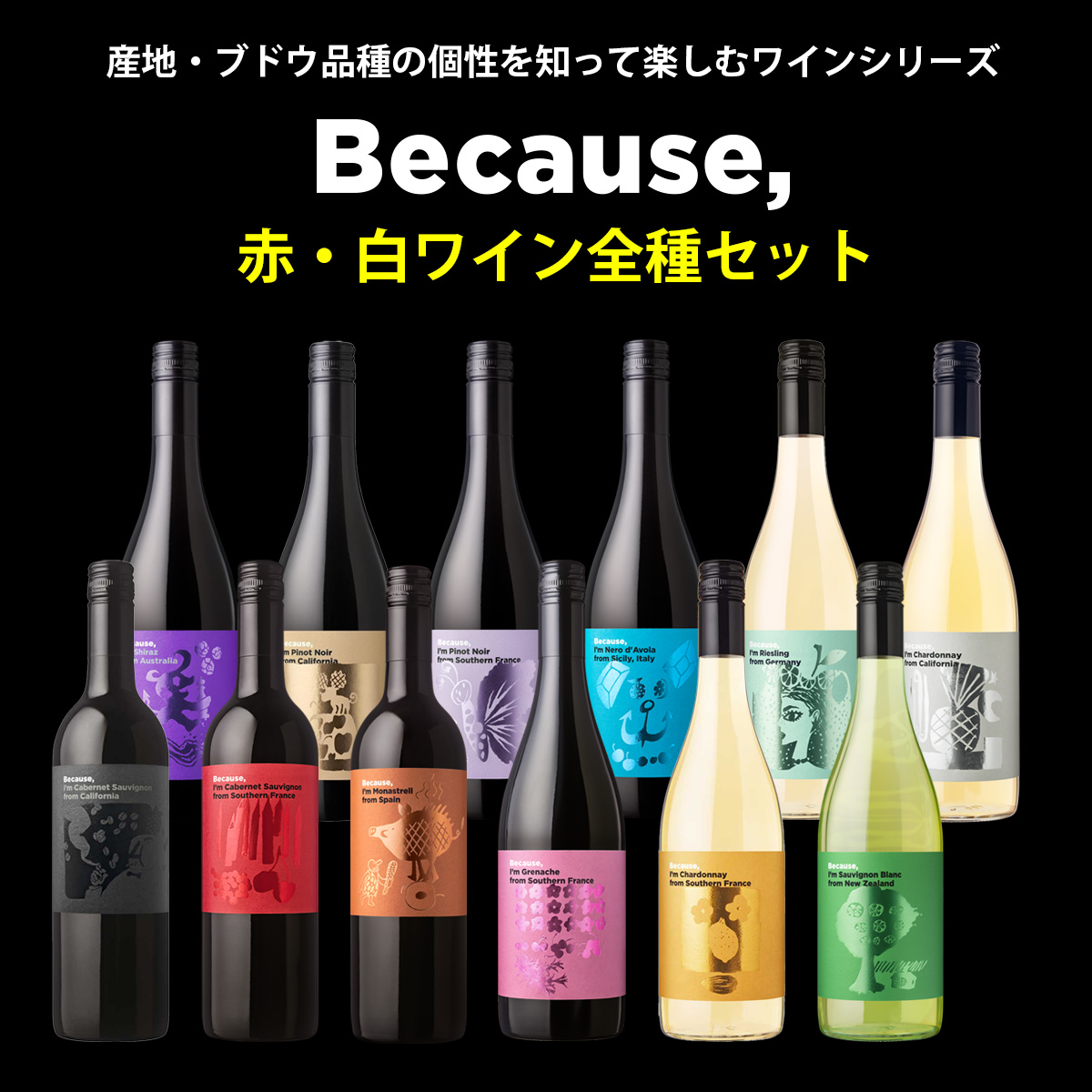 産地・ブドウ品種の個性を知って楽しむワインシリーズ『Because(ビコーズ)』赤・白ワイン全種セット(赤8本 白4本）
