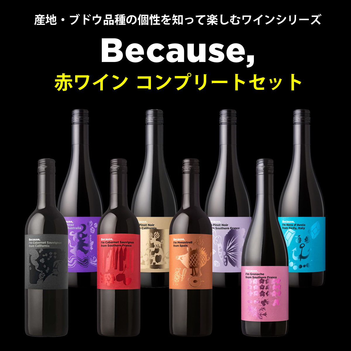 産地・ブドウ品種の個性を知って楽しむワインシリーズ『Because(ビコーズ)』赤ワイン　コンプリートセット（赤8本）