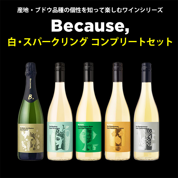 『ビコーズワイン』白・スパークリング　コンプリートセット（白4本 白泡1本)
