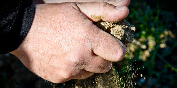 サヴァール ヴォワエット 2020年(仏シャンパーニュ750ml)