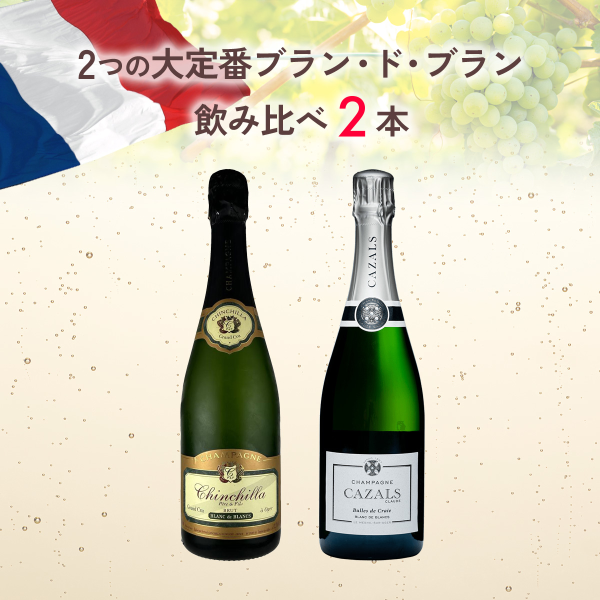 ★期間限定SALE 35%OFF★2つの大定番ブラン・ド・ブランを飲み比べる(750mlx2本)