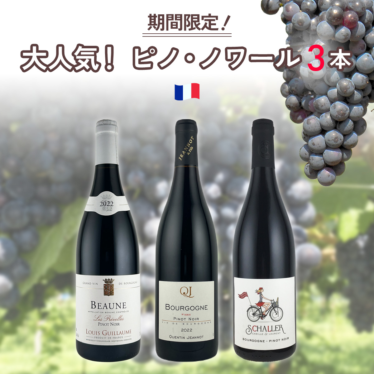 ★期間限定SALE 40%OFF★ 大人気!ピノ・ノワール3本セット!