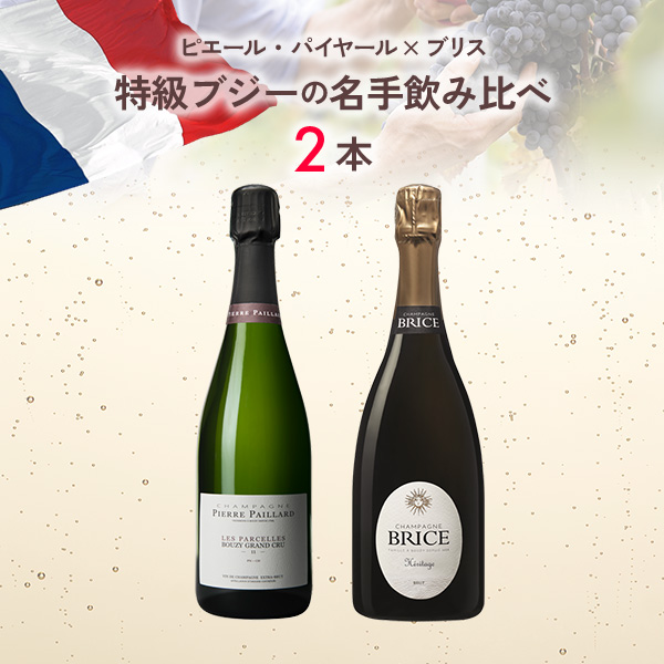 ピエール・パイヤール×ブリス 特級ブジーの名手を飲み比べる（750mlx2本）