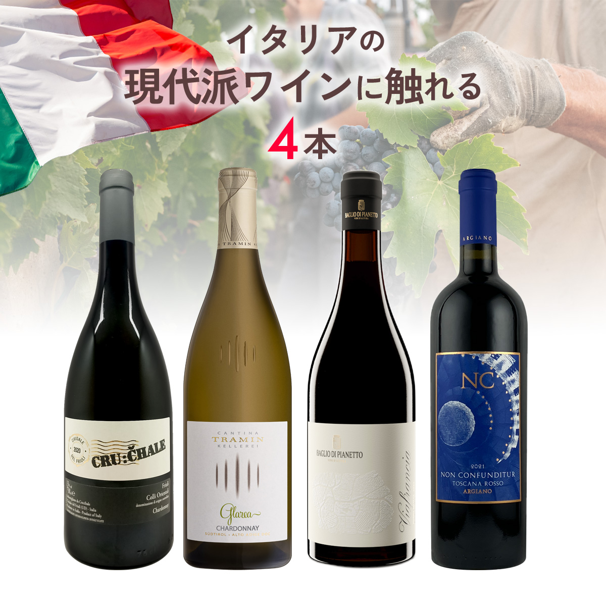 イタリアの現代派ワインに触れる4本セット(白750mlx2本、赤750mlx2本)