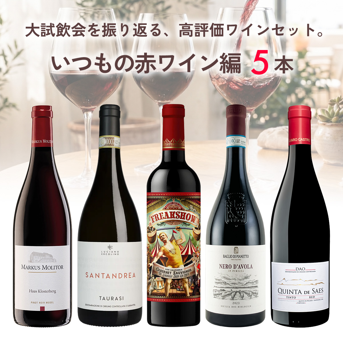 大試飲会を振り返る、高評価ワインセット。いつもの赤ワイン編。