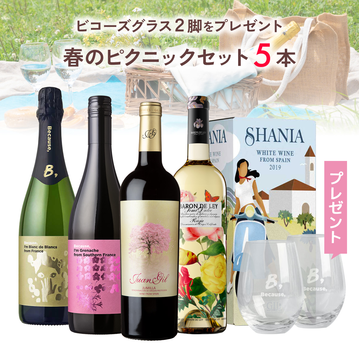 【30％OFF】春のピクニックセット。ビコーズグラス2脚をプレゼント。