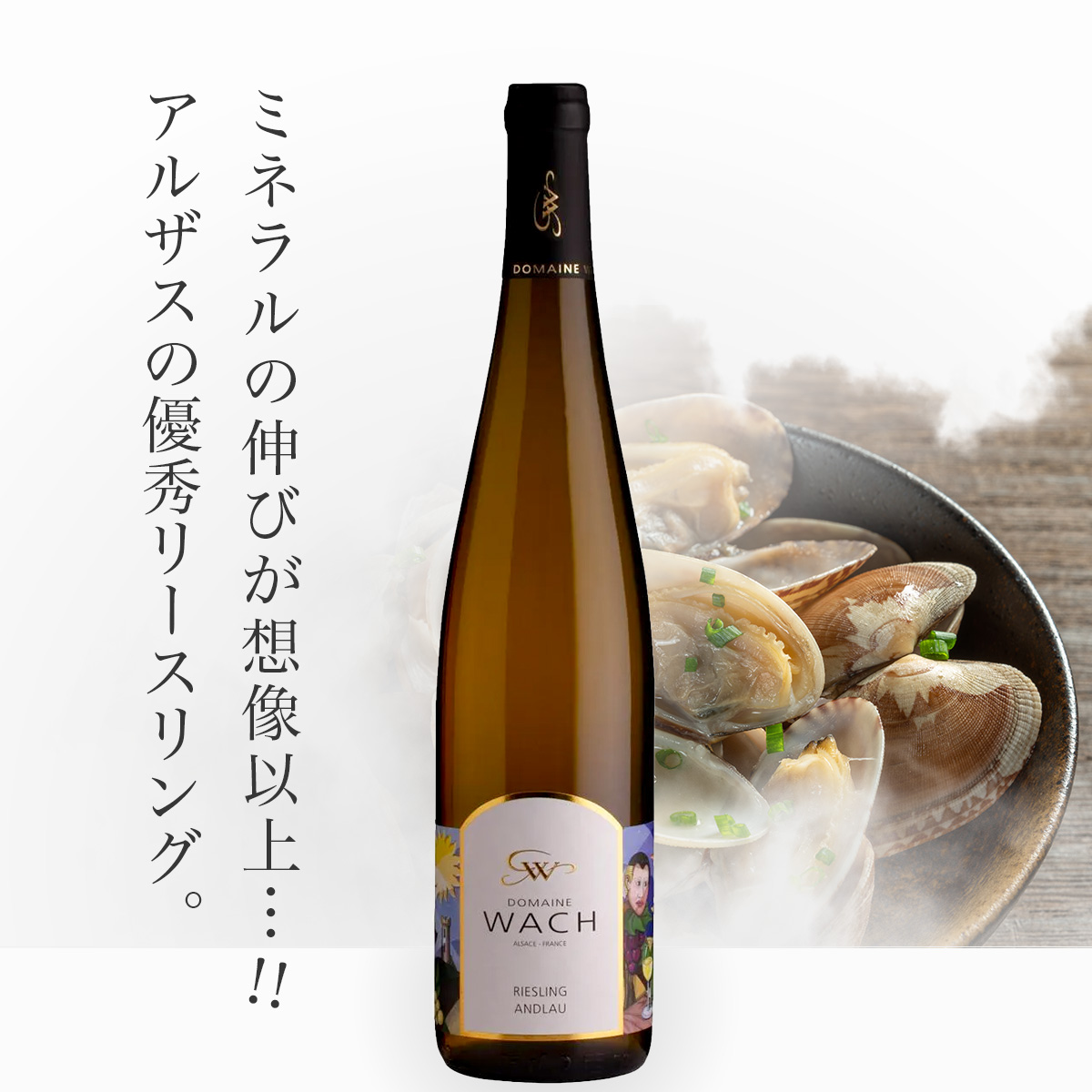 ★フランスワイン15%オフセール中★ギイ・ヴァッハ リースリング アンドロー(仏アルザス産白750ml)