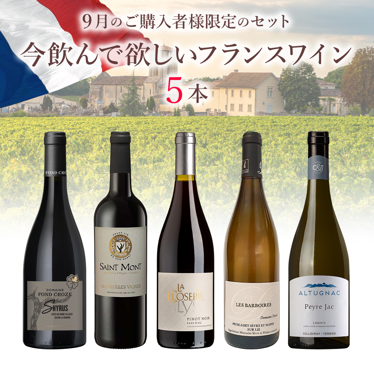 9月のご購入者様限定、今飲んで欲しいフランスワインをまとめてみました。