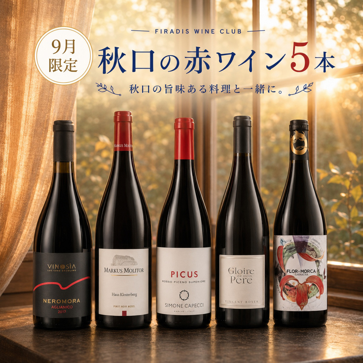 秋口の食卓に！果実味あふれる赤ワイン5本セット（赤750mlx5本）
