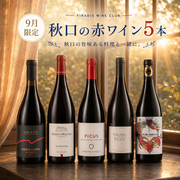 秋口の食卓に！果実味あふれる赤ワイン5本セット（赤750mlx5本）