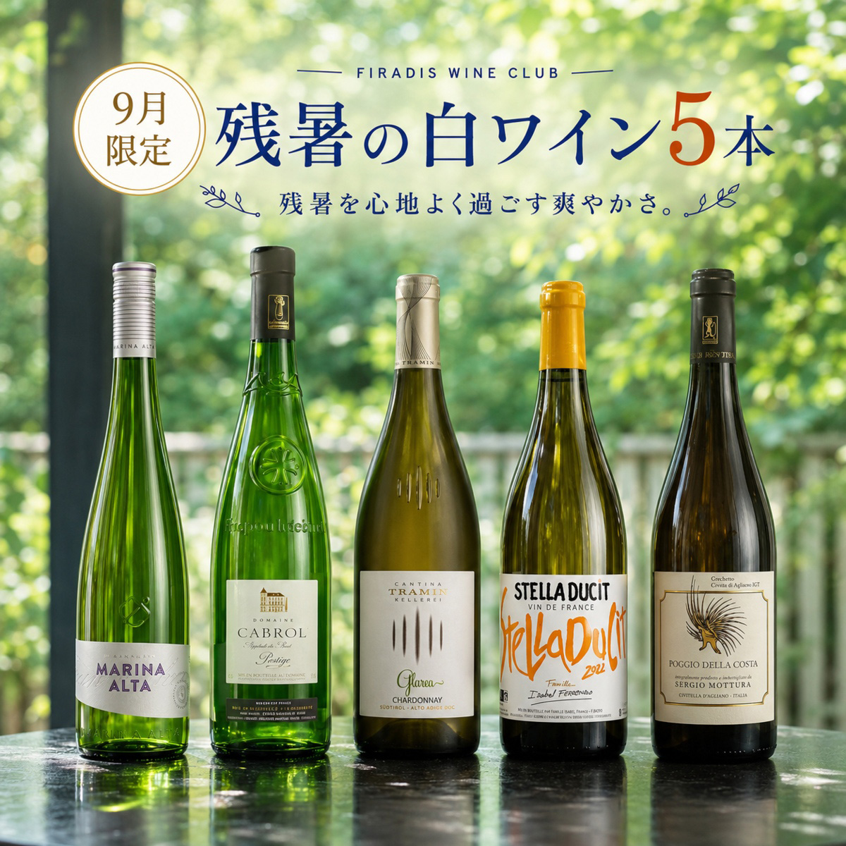 残暑を涼しく！爽やかさあふれる白ワイン5本セット（白750mlx5本）
