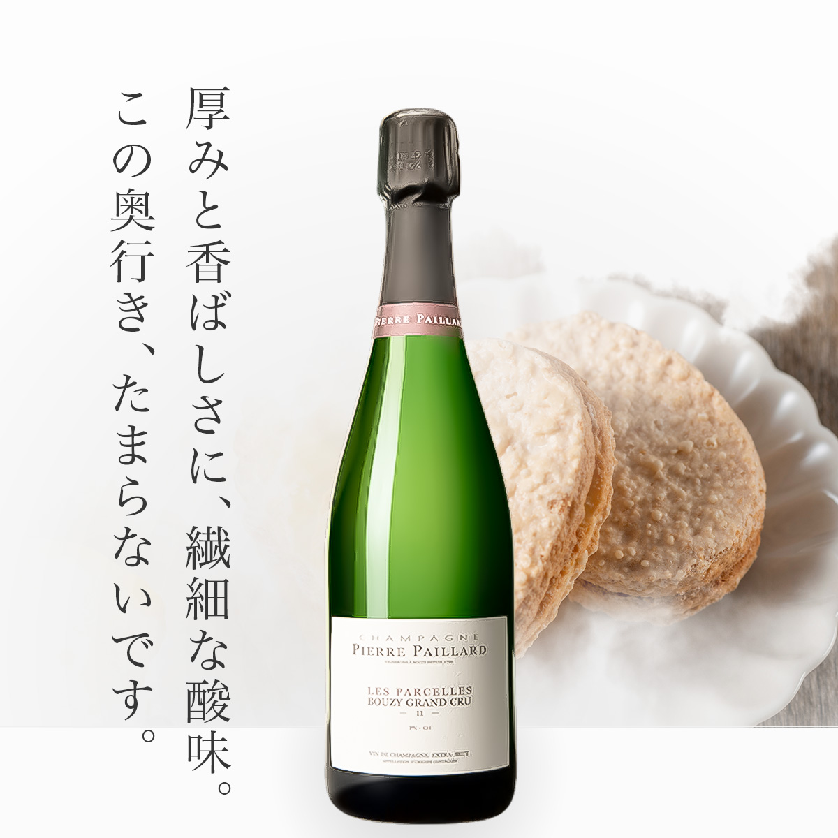 ピエール・パイヤール レ・パルセル ブジー・ブリュット・グラン・クリュ(仏シャンパーニュ750ml)