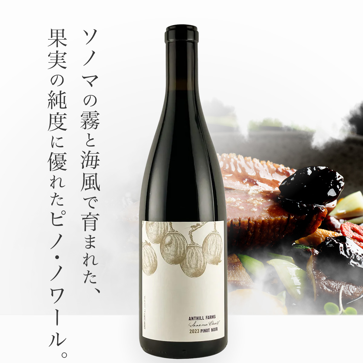 アントヒル・ファームズ ピノ・ノワール　ソノマ・コースト（USAカリフォルニア産赤ワイン750ml）