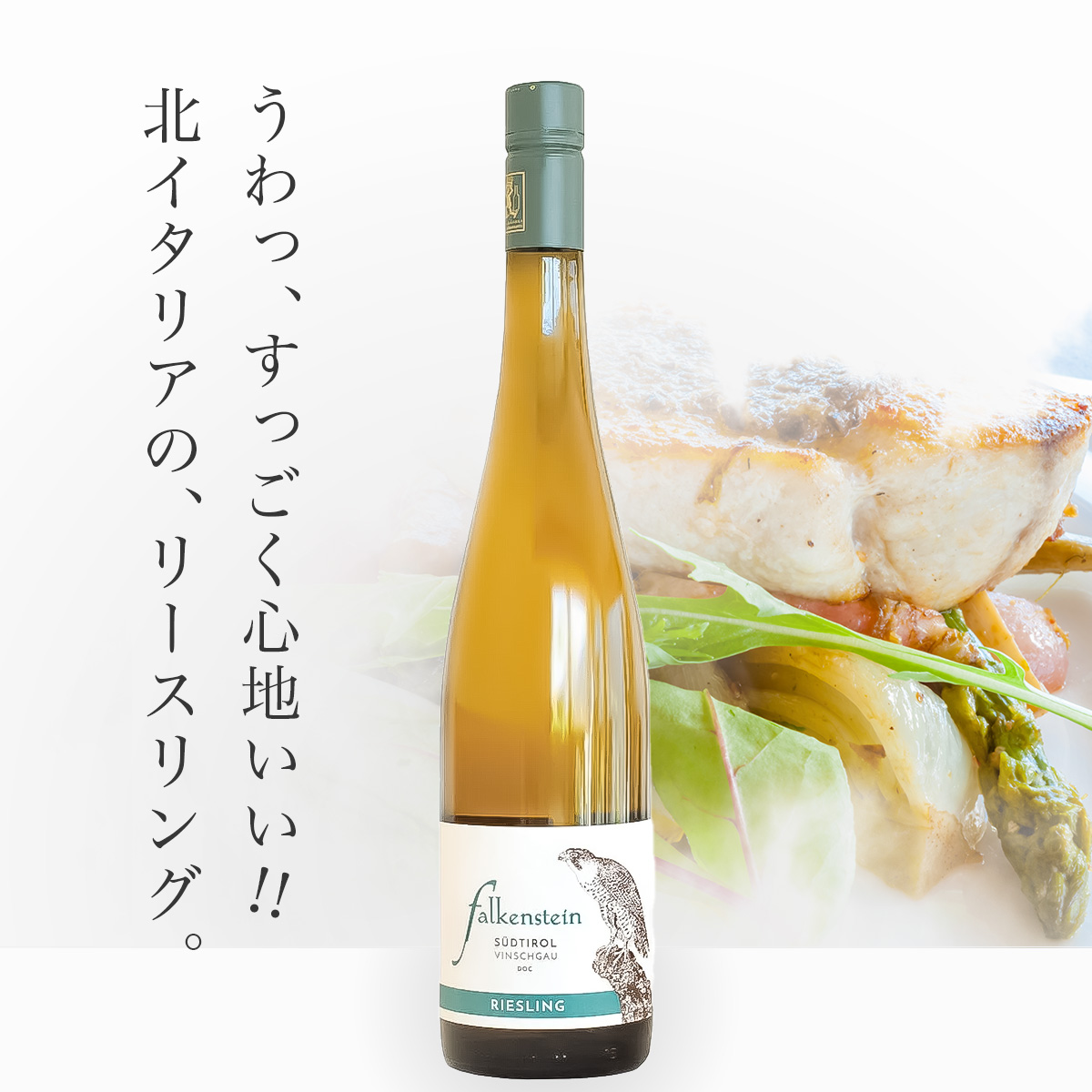 ファルケンシュタイン リースリング(伊アルト・アディジェ産白750ml)