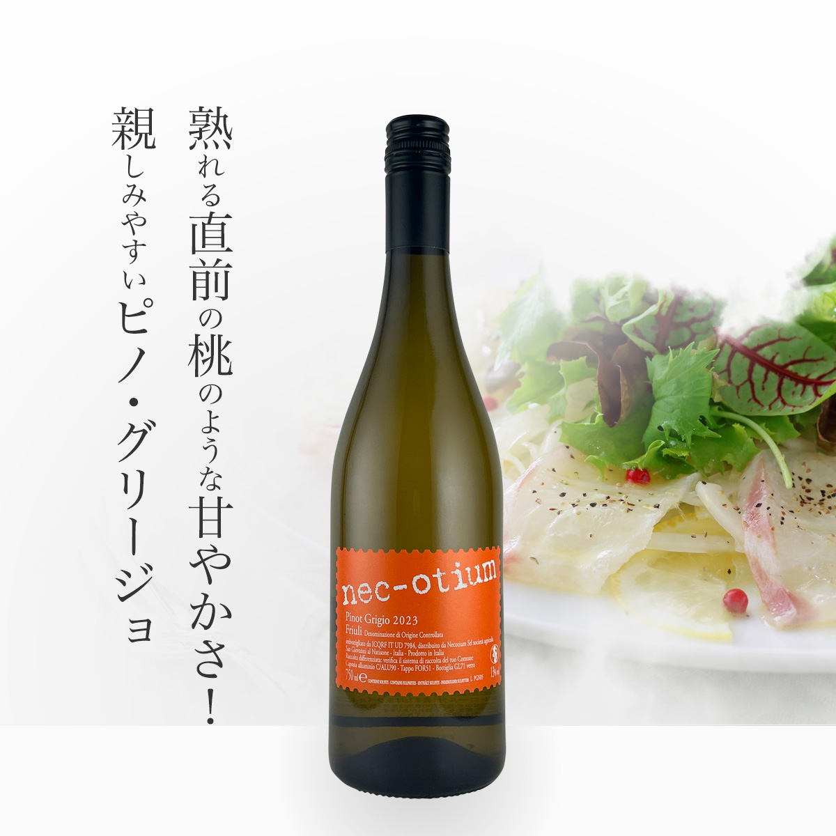 ネコティウム・ピノ・グリージョ(伊フリウリ産白750ml)