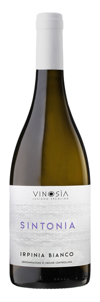 802btl_1x.jpg