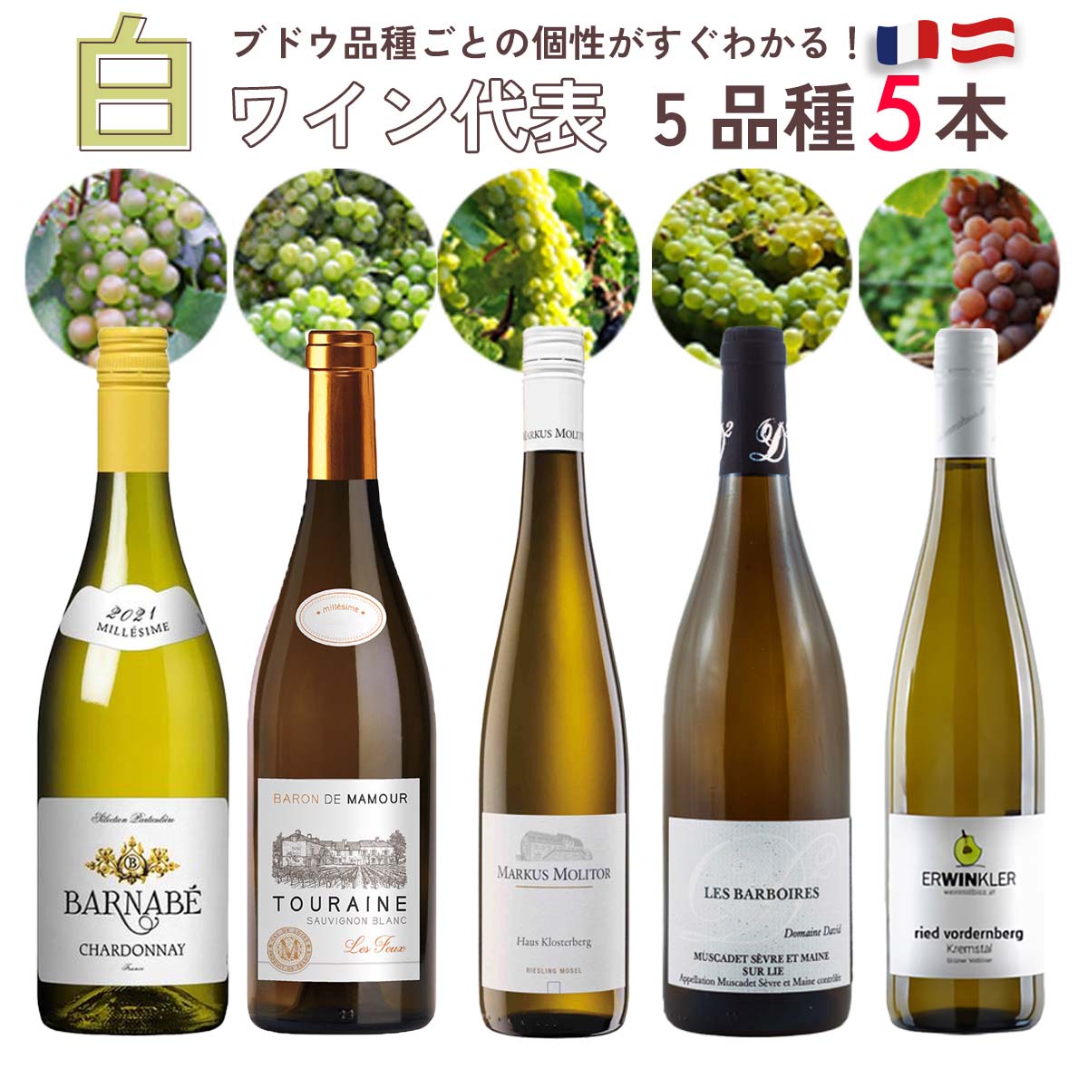 【ブドウ品種ごとの個性がすぐ分かる！】白ワイン代表5品種飲み比べセット(750ml×5本)