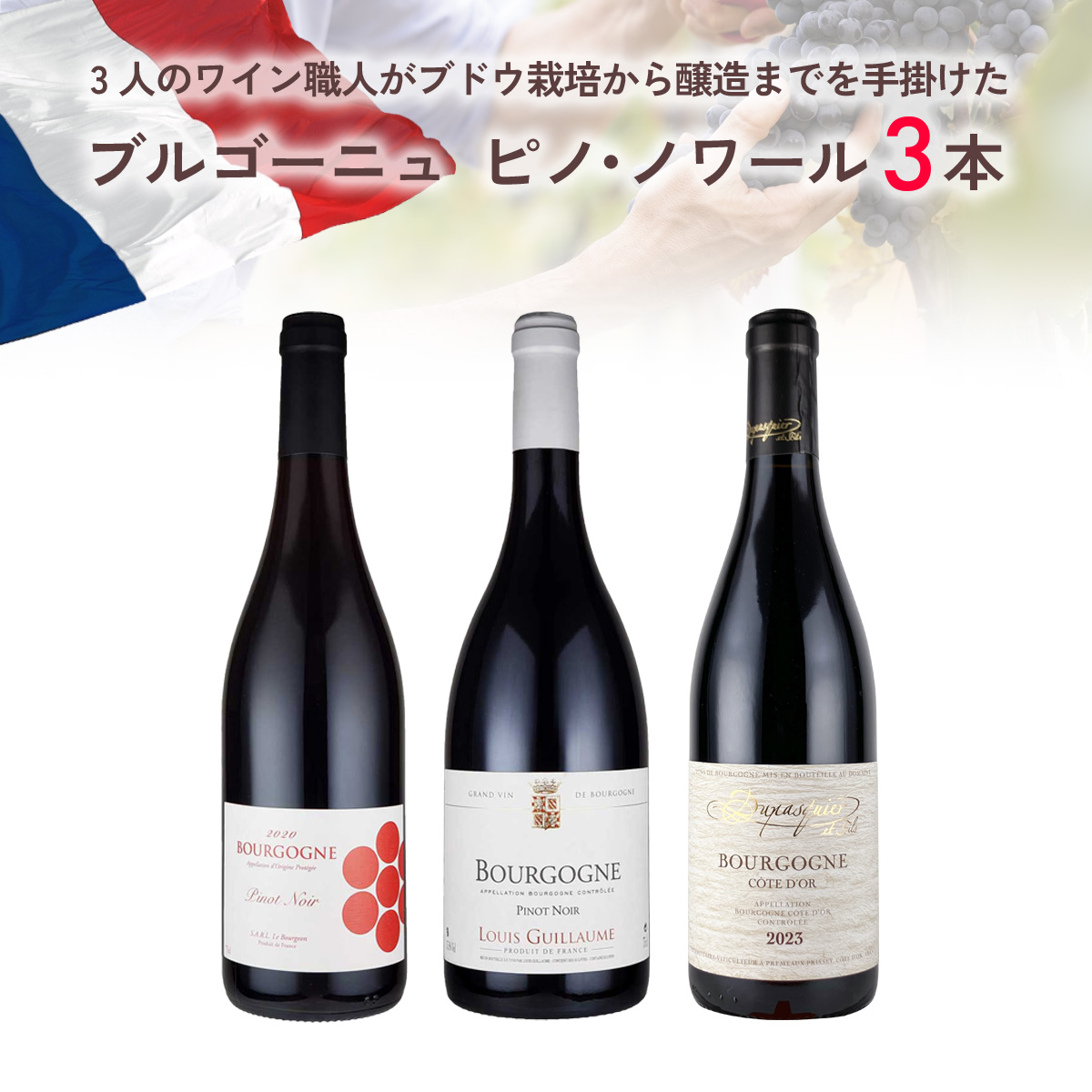 【3月限定 30%OFF】3人のワイン職人がブドウ栽培から醸造までを手掛けた、厳選ブルゴーニュ・ピノ・ノワール3本セット(赤750ml×3本)