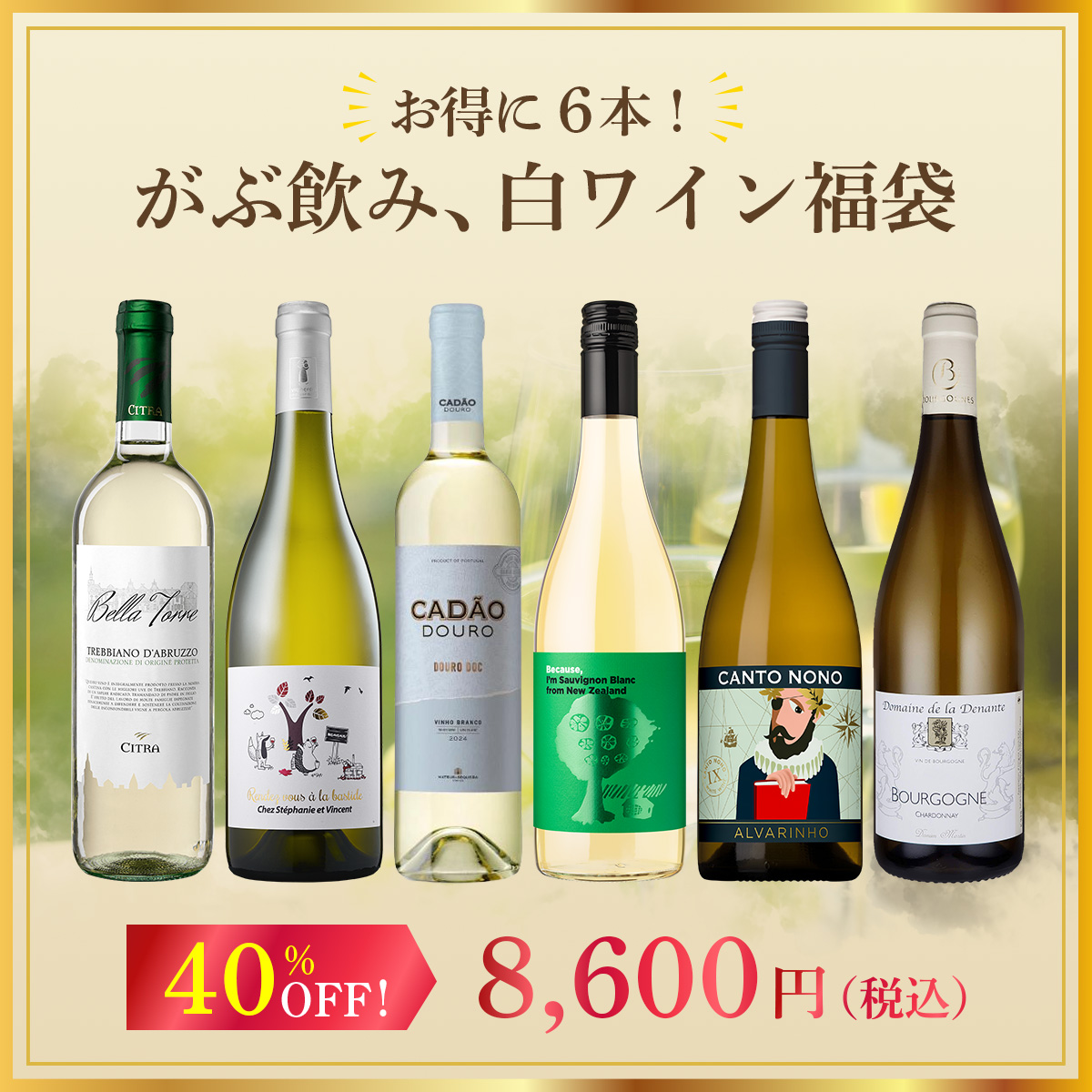 お得に6本！がぶ飲み、白ワイン福袋！