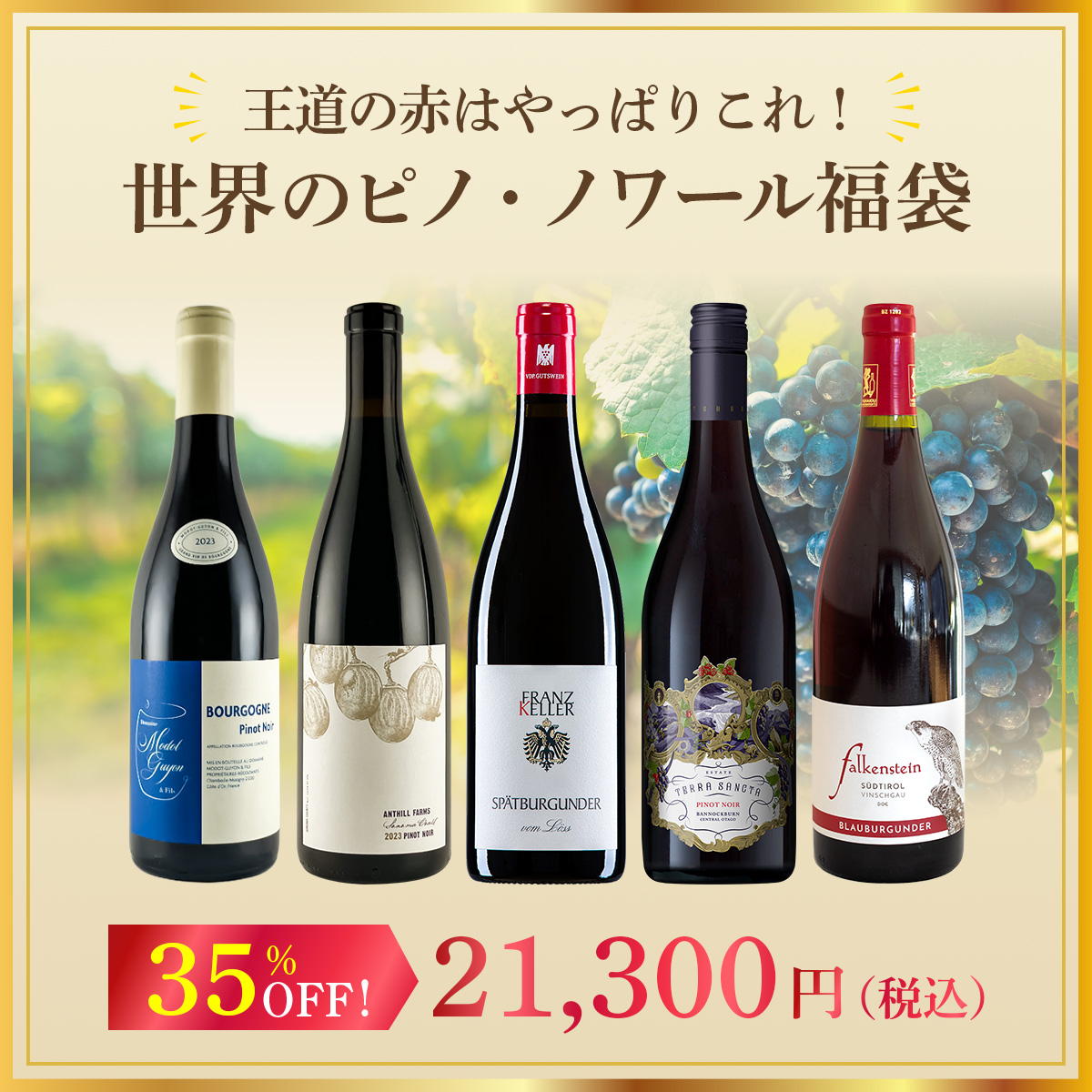 王道の赤はやっぱりこれ！世界のピノ・ノワール福袋！