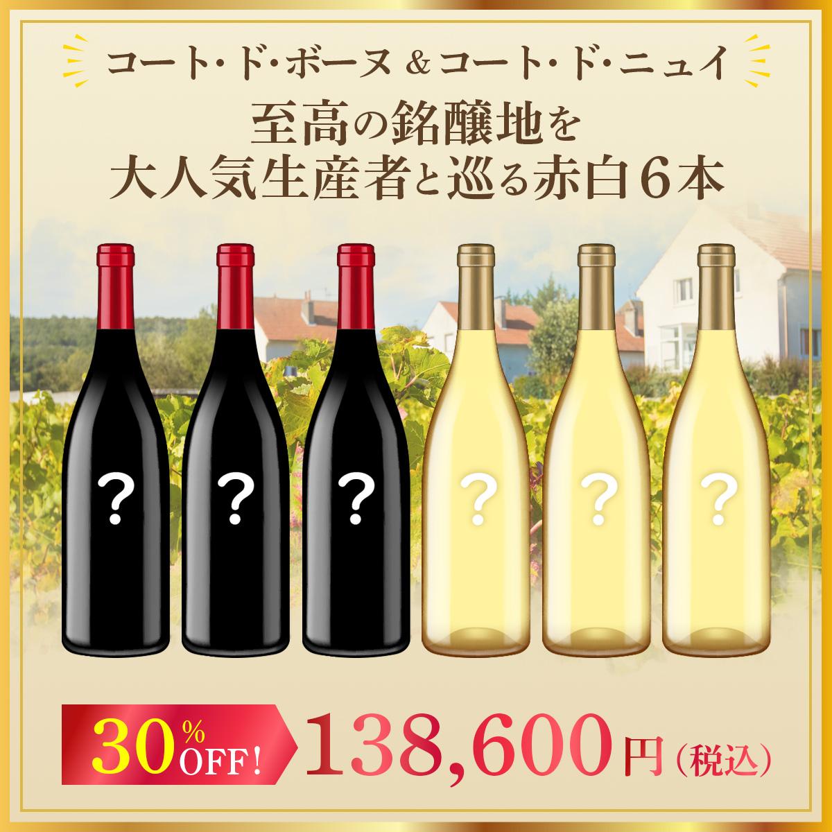 コート・ド・ボーヌ＆コート・ド・ニュイ、至高の銘醸地を大人気生産者と巡る赤白6本セット！