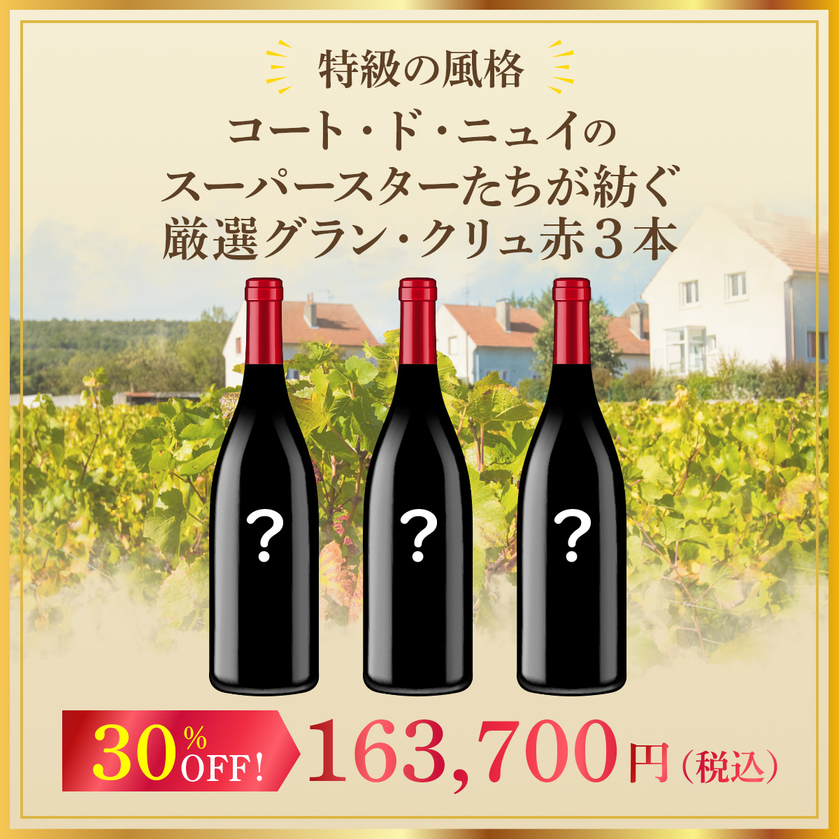 【特級の風格】コート・ド・ニュイのスーパースターたちが紡ぐ、厳選グラン・クリュ赤3本セット！