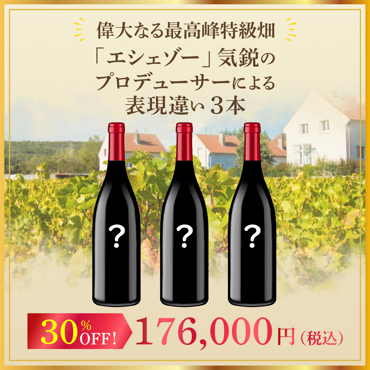 偉大なる最高峰特級畑「エシェゾー」気鋭のプロデューサーによる表現違い3本セット！