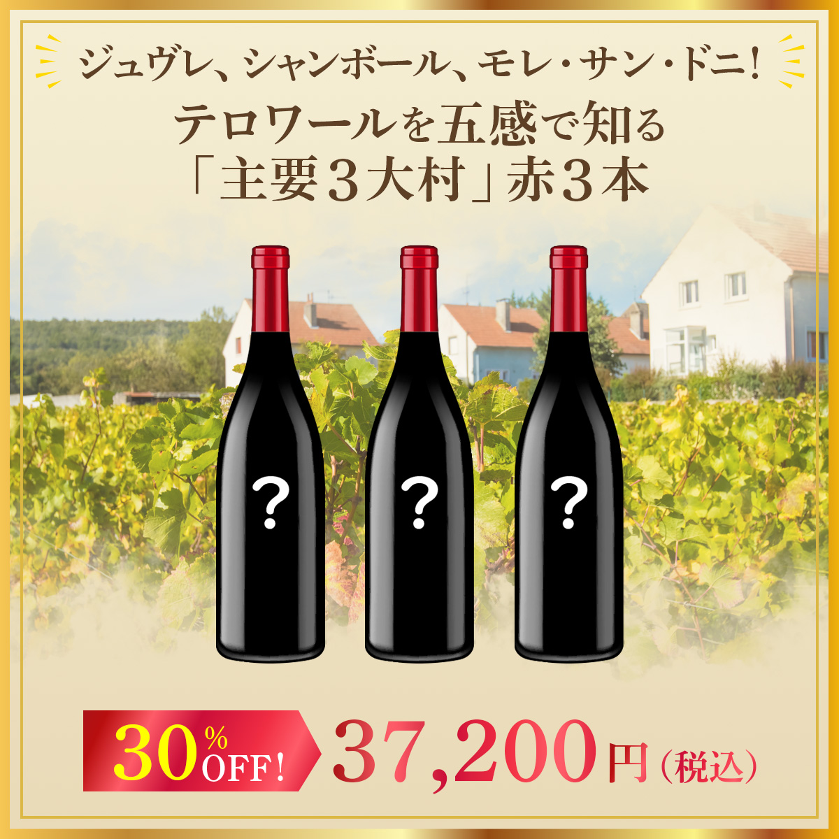 ジュヴレ、シャンボール、モレ・サン・ドニ！テロワールを五感で知る「主要3大村」赤3本セット！