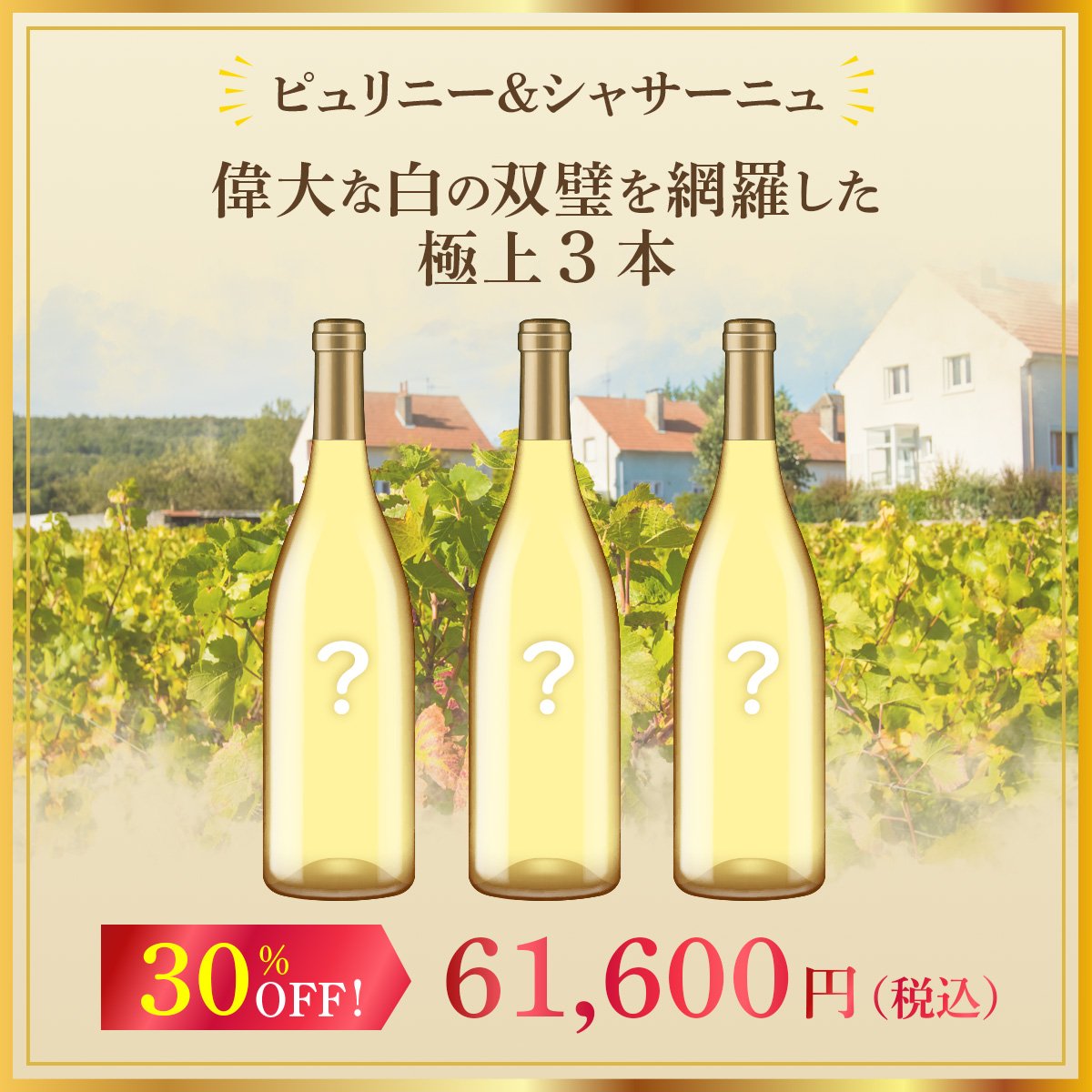 ピュリニー＆シャサーニュ！偉大な白の双璧を網羅した極上3本セット